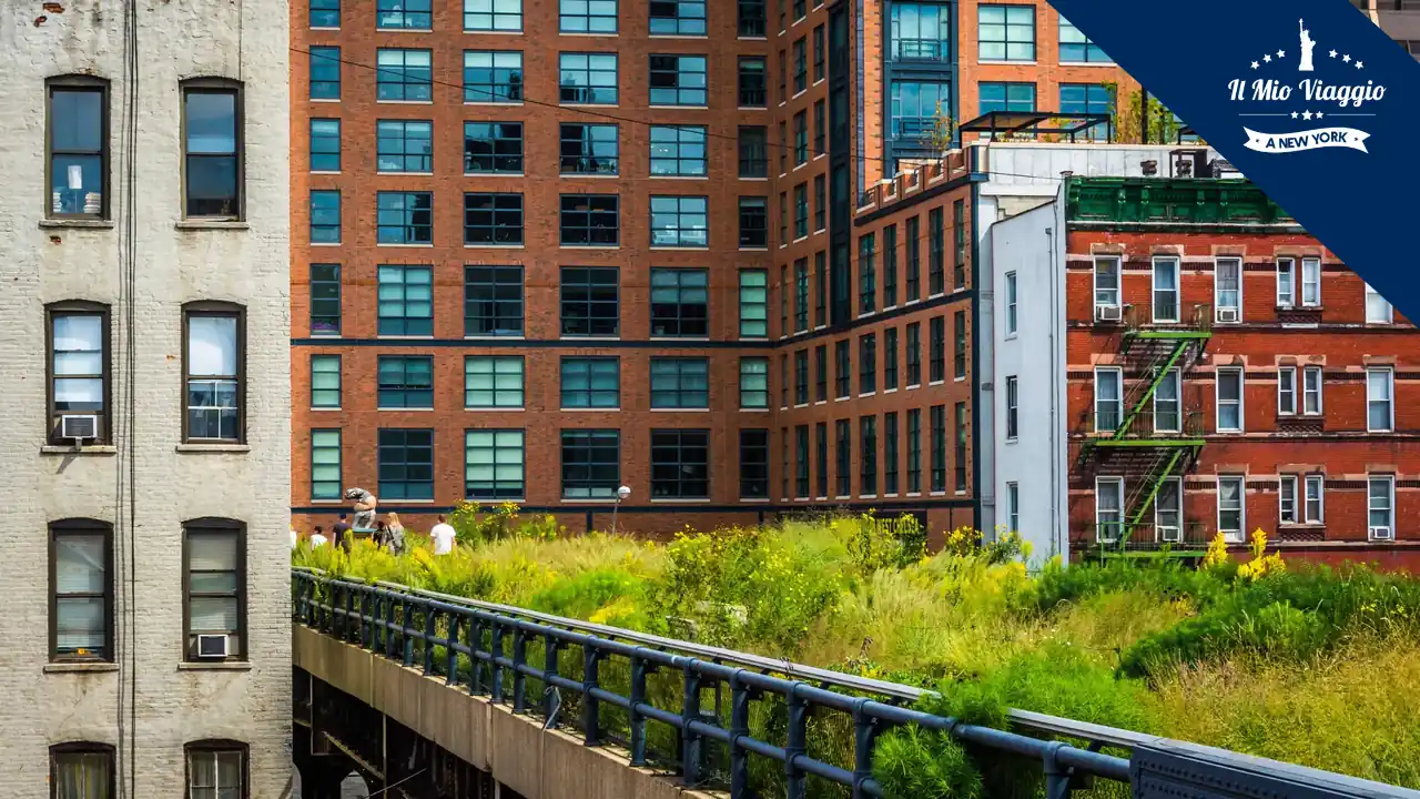 High Line New York: Cosa Vedere, il Percorso e la Storia