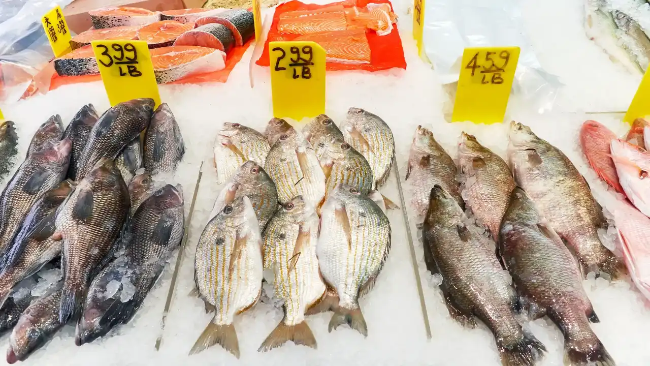 Pesce in vendita a Canal Street Chinatown