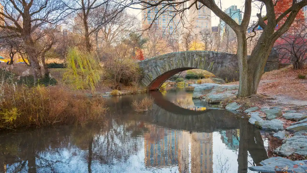 Gapstow Bridge a New York