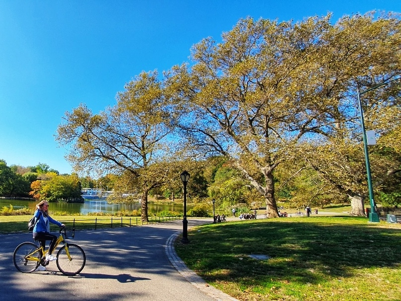 Noleggio Biciclette Central Park
