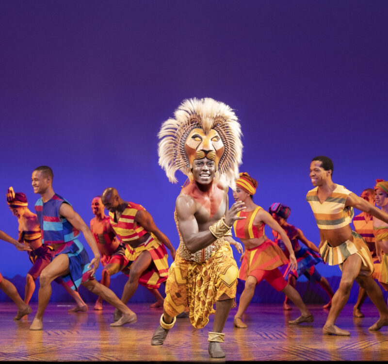 Brandon A. McCall nel cast del musical Il Re Leone a Broadway