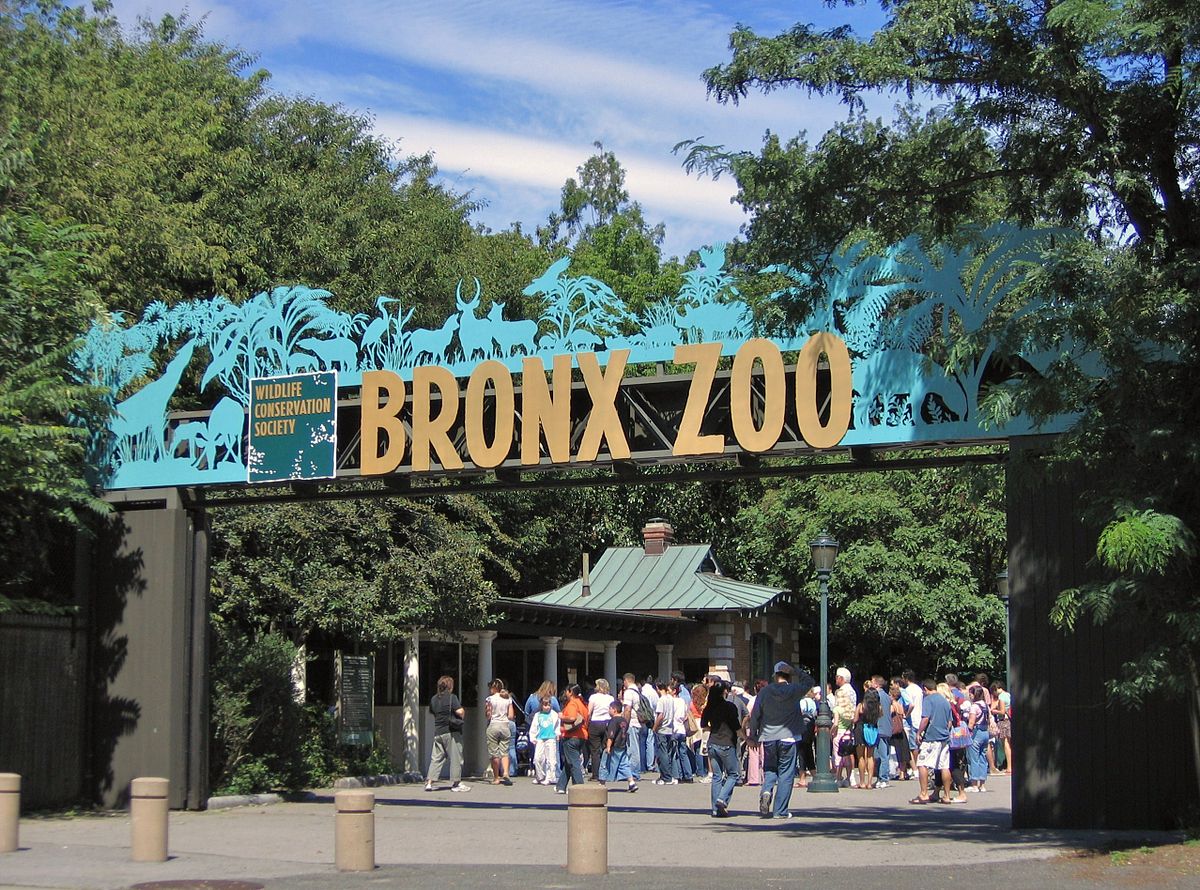 Bronx