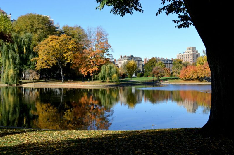 Tour di Boston da New York in Italiano: 1 Giorno