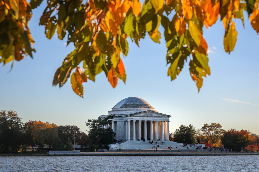 Tour di Washington da New York in Italiano: 1 Giorno