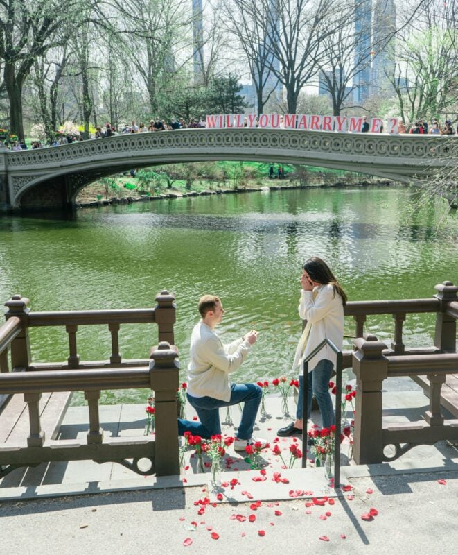 Marriage Proposal New York