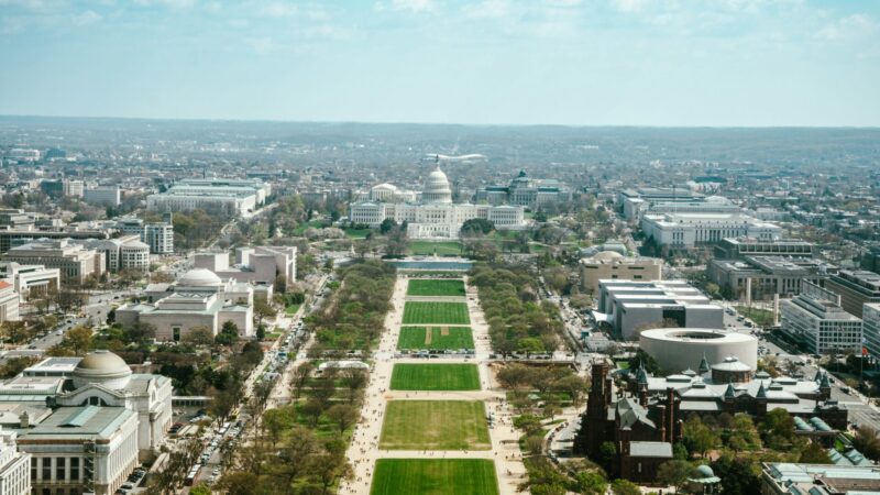 Tour di Washington da New York in Italiano: 1 Giorno