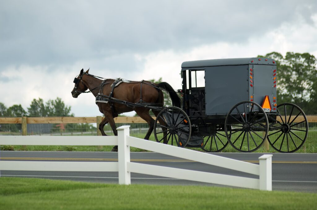 Tour Washington, Philadelphia, Niagara from New York: 4 Days