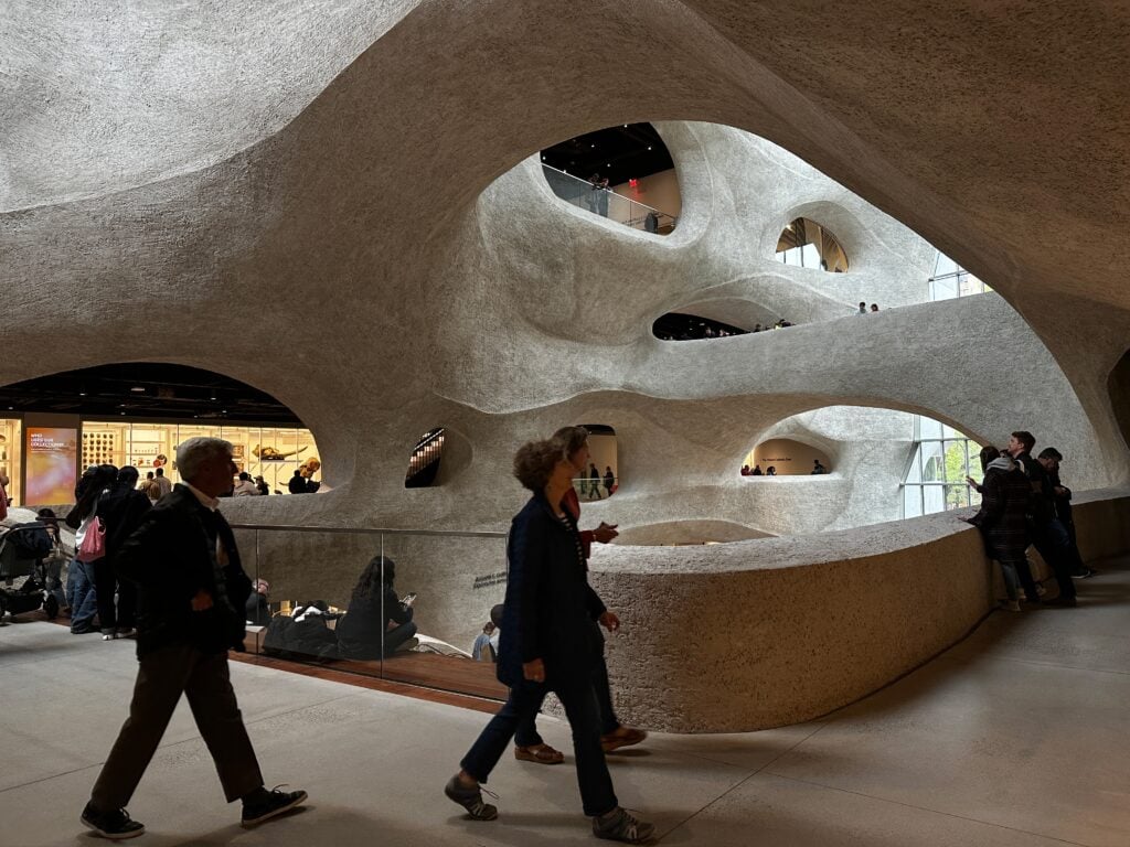 biglietti per american museum of natural history