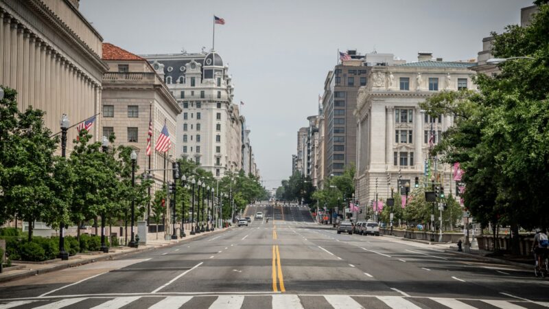 Tour di Washington da New York in Italiano: 1 Giorno