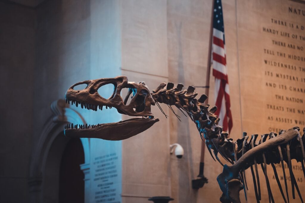 biglietti per il museo di storia naturale