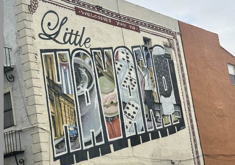 Tour Everglades Privato in Italiano con Miami Opzionale