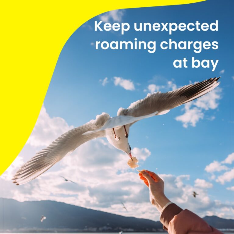 Saily eSim per New York e Viaggi Internazionali