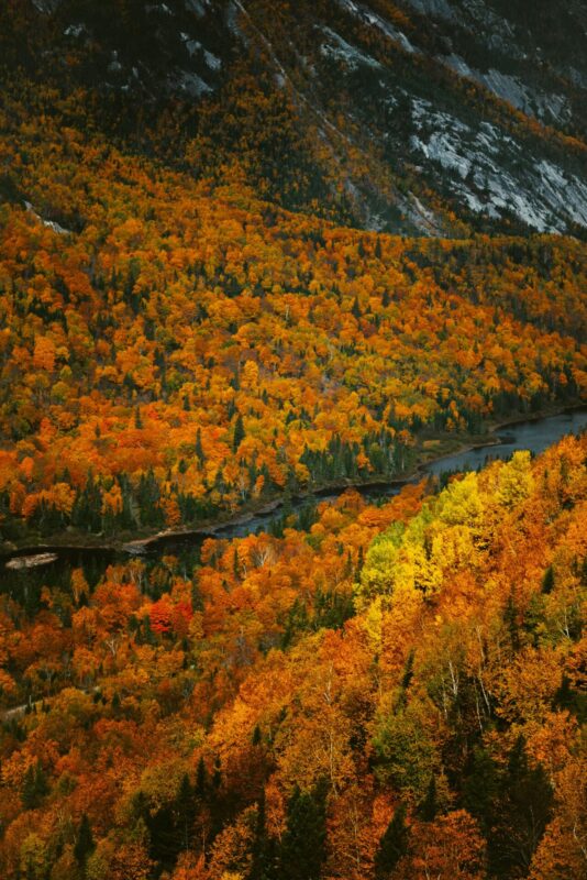 Crociera Hudson New York: Circle Line Fall Foliage