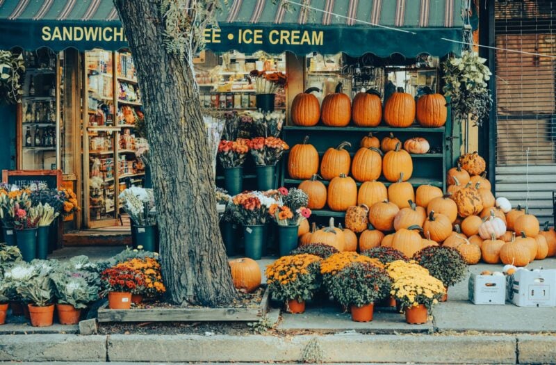 Tour delle case di Halloween