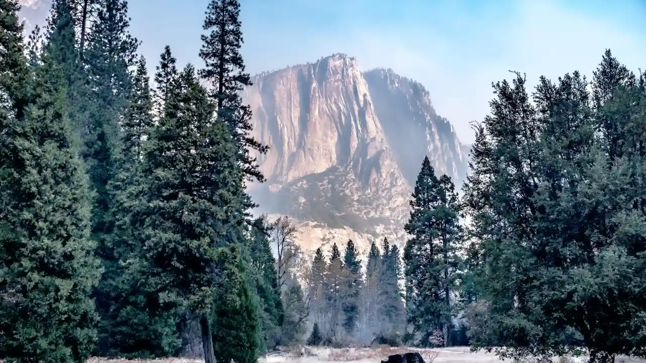 Vette distanti al parco di Yosemite