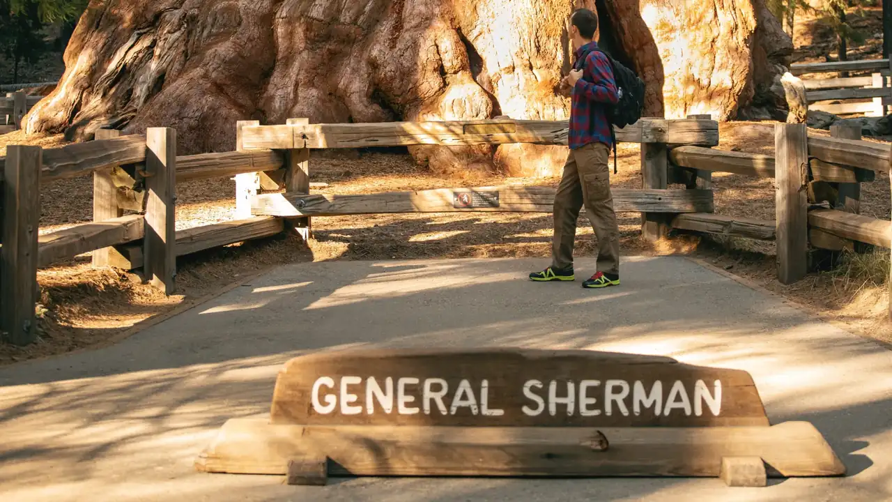 General Sherman al Sequoia National Park in California