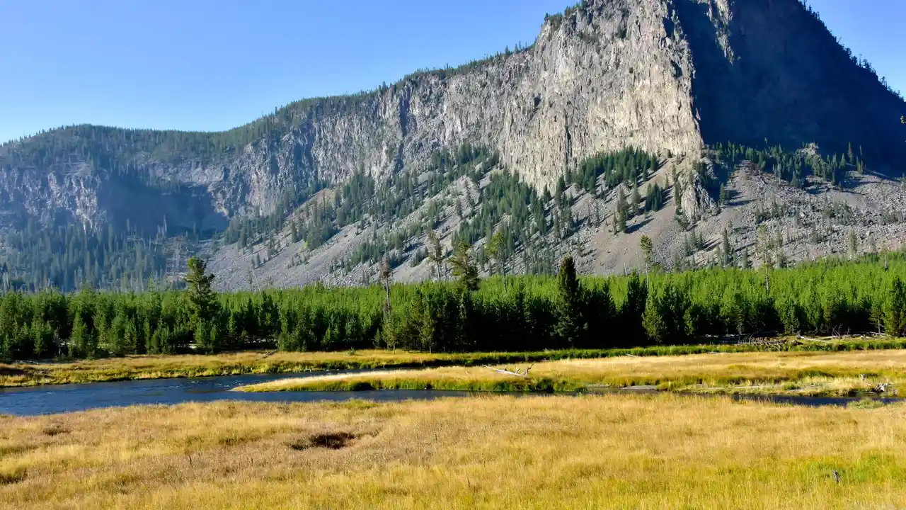 Il fiume Madison nel Parco Nazionale di Yellowstone