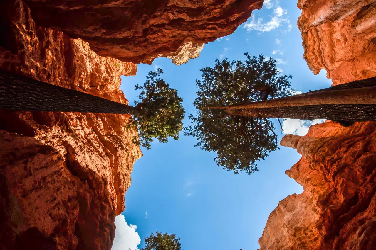 Agua Canyon nel parco nazionale di Bryce Canyon in una giornata di sole: pinnacoli e hoodoos di roccia rossa affacciati sulla foresta dello Utah.