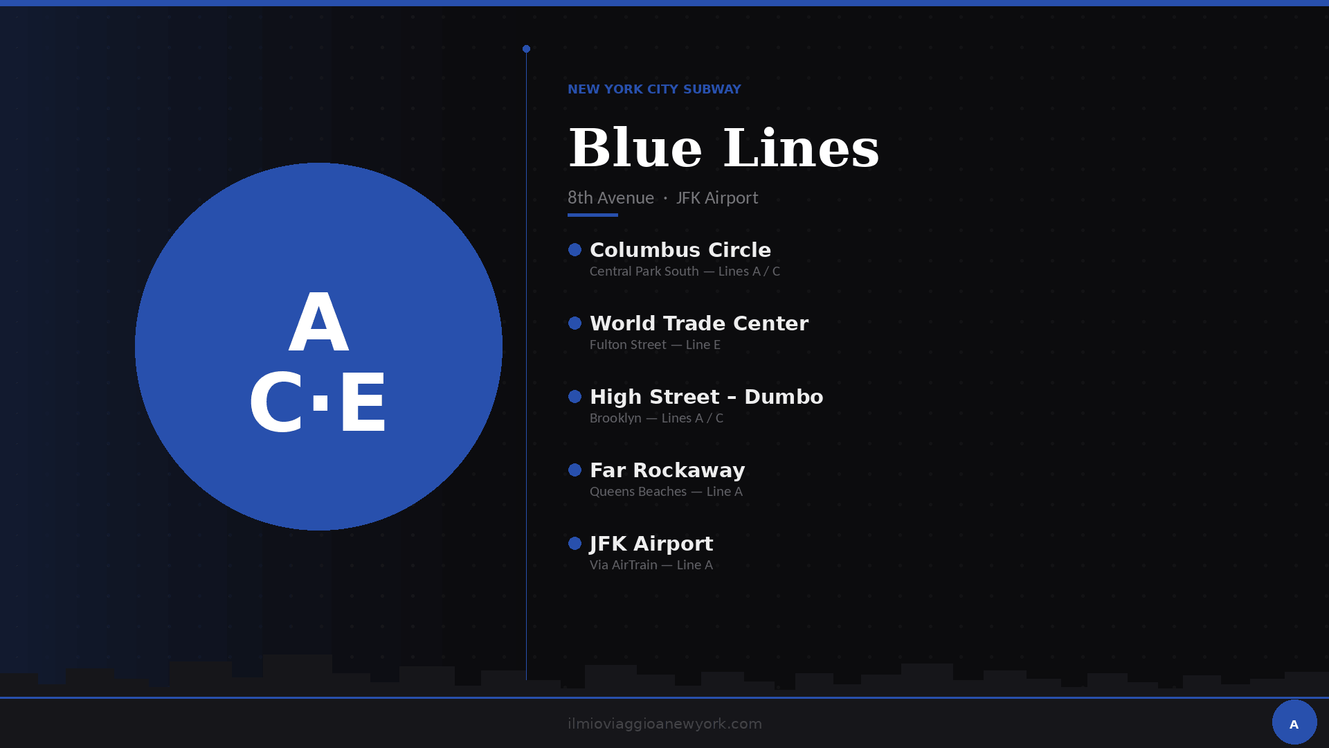 Metro New York Blue Lines