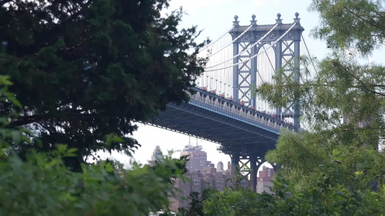 Vista del Brooklyn Bridge dal Parco