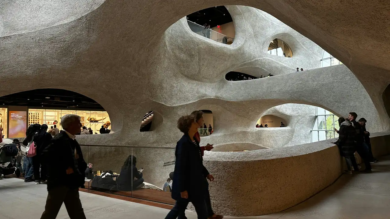 Museo di Storia Naturale di New York, vista interna