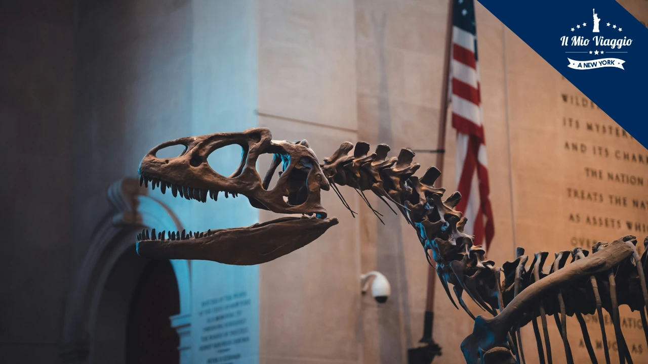 Museo di Storia Naturale di New York: la Guida Completa