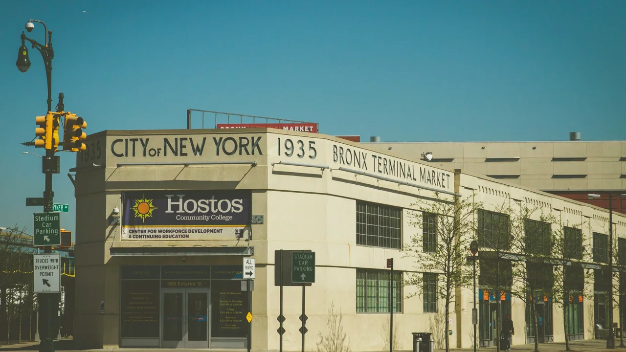 Vista del Bronx