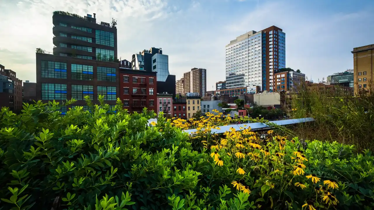 Chelsea New York