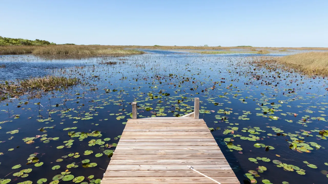 Everglades, Florida, vista panoramica