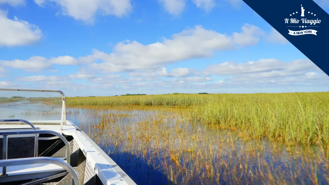 Parco Nazionale delle Everglades: Come Visitarlo Partendo da Miami