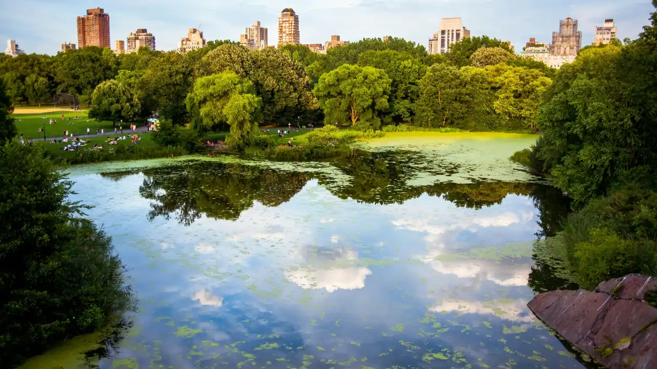 Central Park, laghetto
