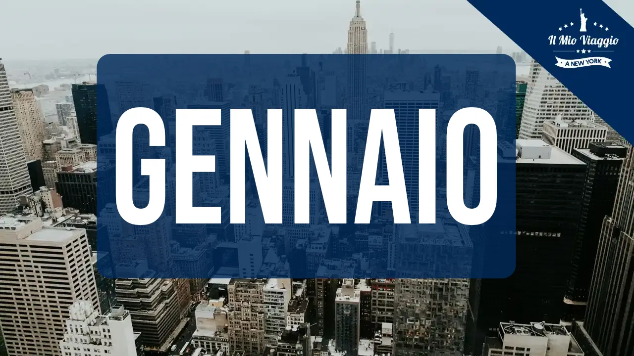 Gennaio a New York: il Mese più Freddo, Clima e Cosa Fare
