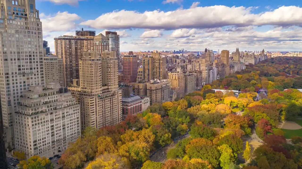 Central Park NYC